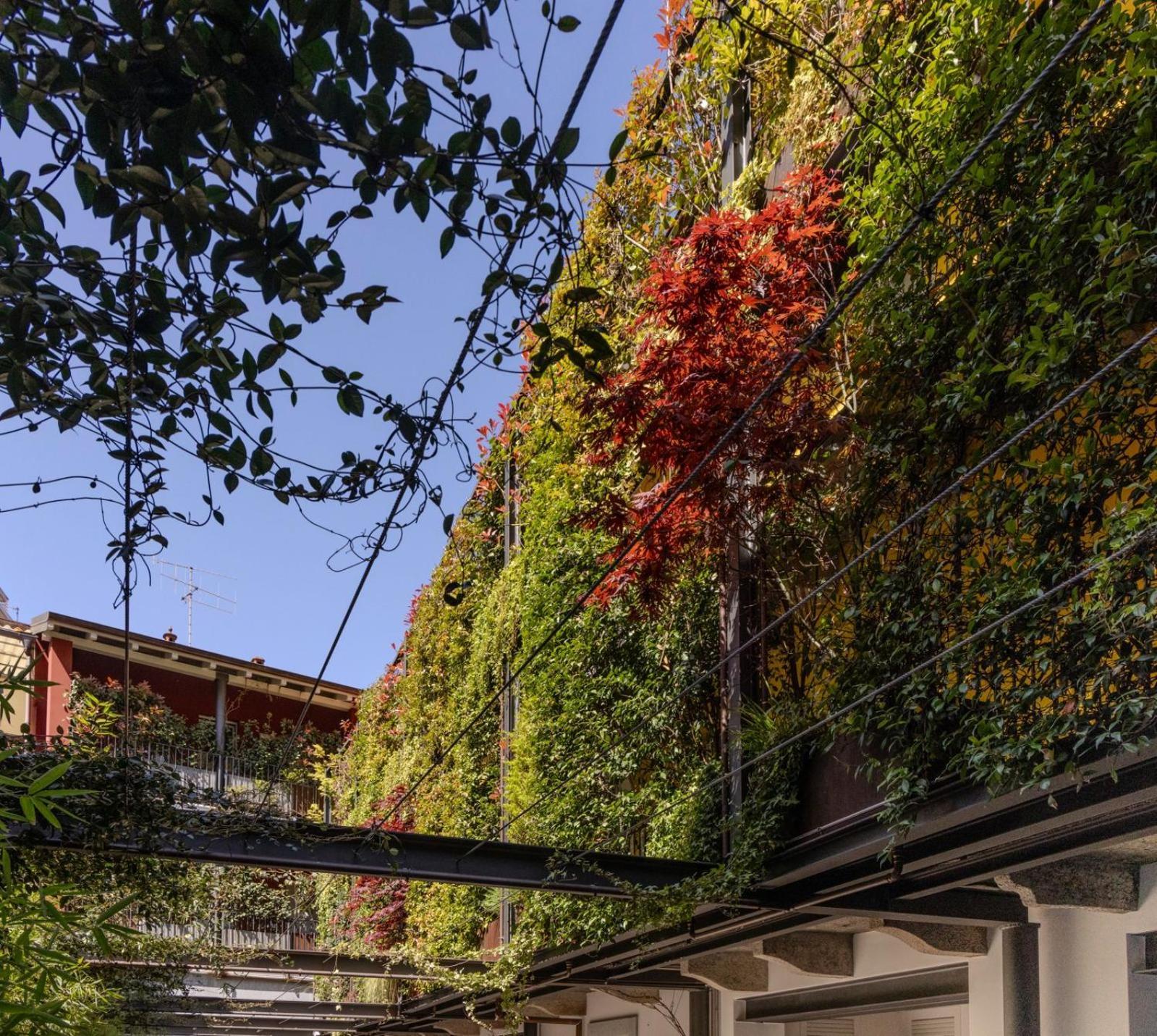 Residence Casa Coppa Appartamento Maple Оменья Екстер'єр фото